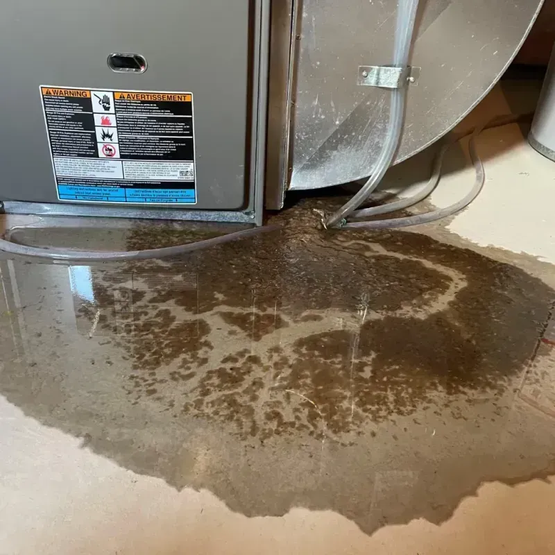 Appliance Leak Cleanup in Clinton, NJ